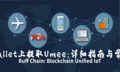 如何在TPWallet上提取Umee：详细指南与常见问题解