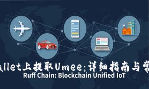 如何在TPWallet上提取Umee：详细指南与常见问题解答