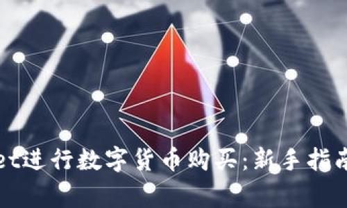 使用TPWallet进行数字货币购买：新手指南与注意事项