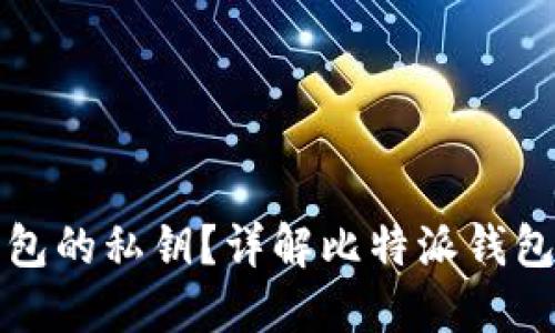 如何查看比特派钱包的私钥？详解比特派钱包安全性与使用技巧
