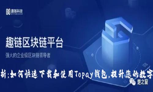 全方位解析：如何快速下载和使用Topay钱包，提升您的数字货币体验