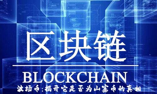 
波场币：揭开它是否为山寨币的真相