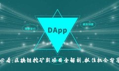 新手必看：区块链挖矿新项目全解析，抓住机会