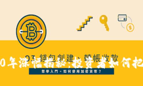 狗狗币2020年涨幅揭秘：投资者如何把握这波狂潮