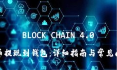 如何将币提现到钱包：详细指南与常见问题解答