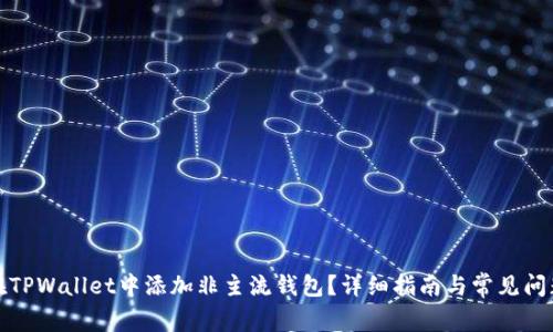 如何在TPWallet中添加非主流钱包？详细指南与常见问题解答