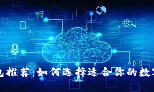 优质区块链钱包推荐：如何选择适合你的数字资产存储方式