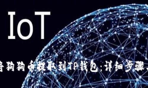 如何将狗狗币提取到TP钱包：详细步骤与指南