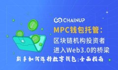 新手如何选择数字钱包：全面指南