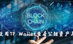 如何使用TP Wallet查看公链资产与信息