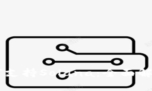 TPWallet如何支持Solana：全面解析与使用指南
