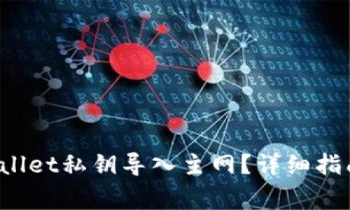  如何将TPWallet私钥导入主网？详细指南与注意事项