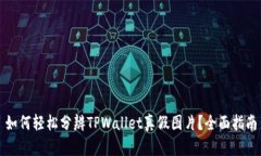 如何轻松分辨TPWallet真假图片？全面指南