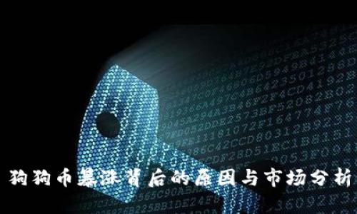 狗狗币暴涨背后的原因与市场分析