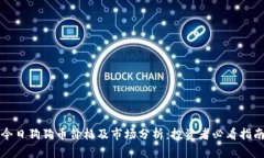 今日狗狗币价格及市场分析：投资者必看指南