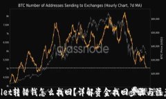 tpwallet转错钱怎么找回？详解资金找回步骤与注意