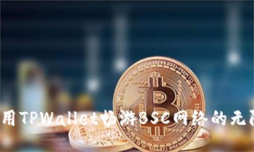 如何利用TPWallet畅游BSC网络的无限可能？