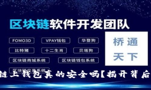 区块链链上钱包真的安全吗？揭开背后的秘密！