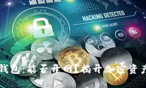  区块链Plus钱包：能否开网？揭开加密资产背后的秘密！