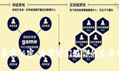 数字货币钱包的真实秘密：为何它们在你的生活中未能发挥作用？