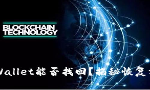 删除的TP Wallet能否找回？揭秘恢复方法与技巧！