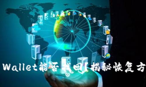 删除的TP Wallet能否找回？揭秘恢复方法与技巧！