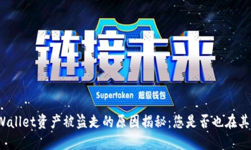 TPWallet资产被盗走的原因揭秘：您是否也在其中？
