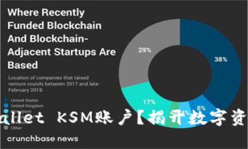 如何轻松创建TPWallet KSM账户？揭开数字资产管理的神秘面纱
