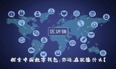 探索中国数字钱包：你还在犹豫什么？
