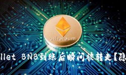 为什么你的TPWallet BNB到账后瞬间被转走？隐藏的真相是什么？