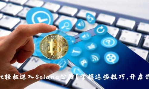 如何通过TPWallet轻松进入Solana公链？掌握这些技巧，开启你的数字资产之旅！