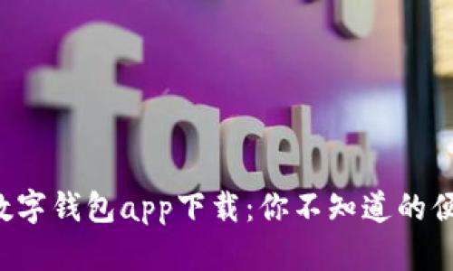 揭秘国际数字钱包app下载：你不知道的便利与风险！