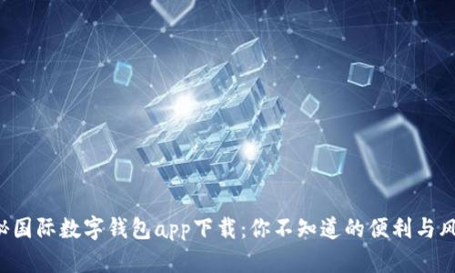 揭秘国际数字钱包app下载：你不知道的便利与风险！