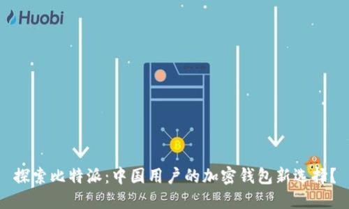 探索比特派：中国用户的加密钱包新选择？