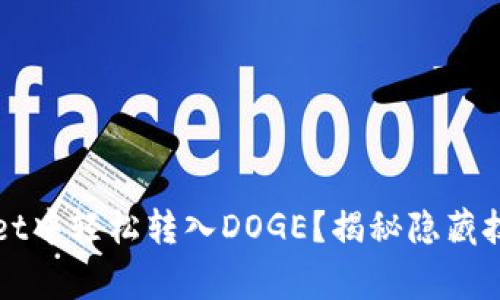 如何在TPWallet中轻松转入DOGE？揭秘隐藏技巧与注意事项