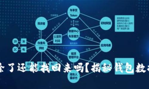 TPWallet删除了还能找回来吗？揭秘钱包数据恢复的秘密