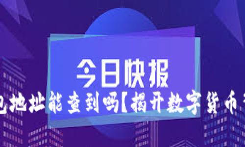 区块链钱包地址能查到吗？揭开数字货币背后的秘密