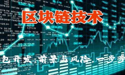 区块链钱包开发：前景与风险，一步步揭开真相