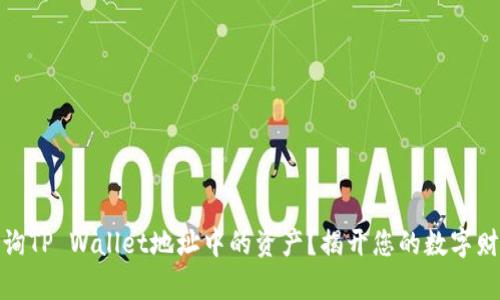 如何查询TP Wallet地址中的资产？揭开您的数字财富之谜