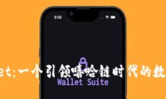 探索TPWallet：一个引领嘻哈链时代的数字钱包之旅