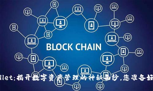 TPWallet：揭开数字资产管理的神秘面纱，您准备好了吗？