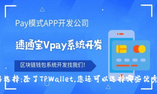 探索更多选择：除了TPWallet，您还可以选择哪些优秀的钱包？