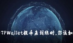 当你的TPWallet提币未到账时，你该如何应对？