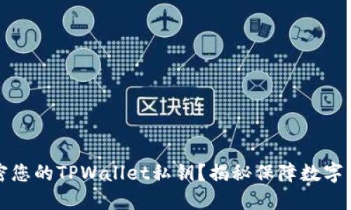 如何安全地加密您的TPWallet私钥？揭秘保障数字资产安全的秘密