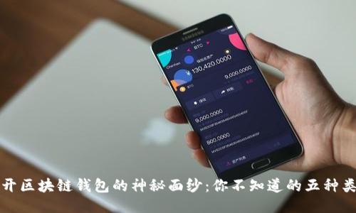 揭开区块链钱包的神秘面纱：你不知道的五种类型
