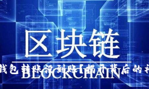 虚拟币钱包转账没到账？揭开背后的神秘面纱