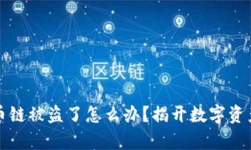 tpwallet火币链被盗了怎么办？揭开数字资产安全的秘密