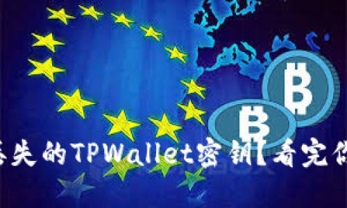 如何找回丢失的TPWallet密钥？看完你就知道了！