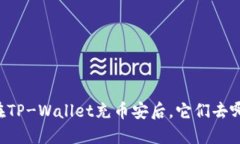 当你在TP-Wallet充币安后，它们去哪里了？