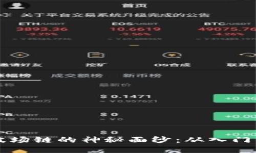 揭开TPWallet波场链的神秘面纱：从入门到精通的全攻略